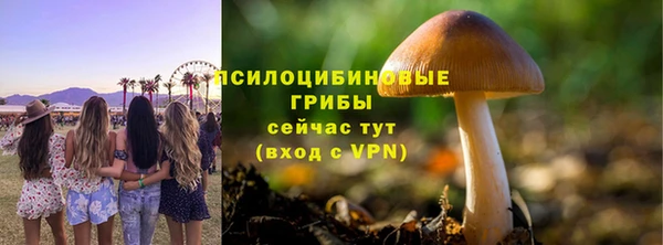 спиды Михайлов