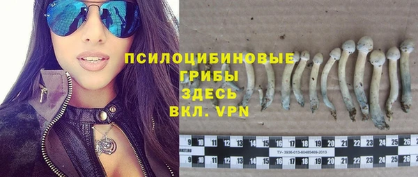 PSILOCYBIN Михайловка