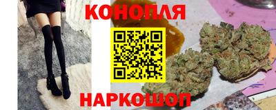 сатива Волгодонск