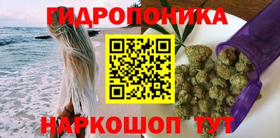 a pvp Волжск