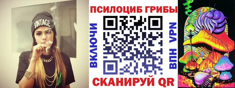 наркотики  Людиново  Псилоцибиновые грибы мицелий 