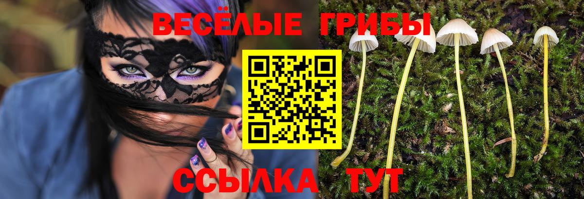 Людиново  купить наркоту  Вход с VPN  Галлюциногенные грибы GOLDEN TEACHER 