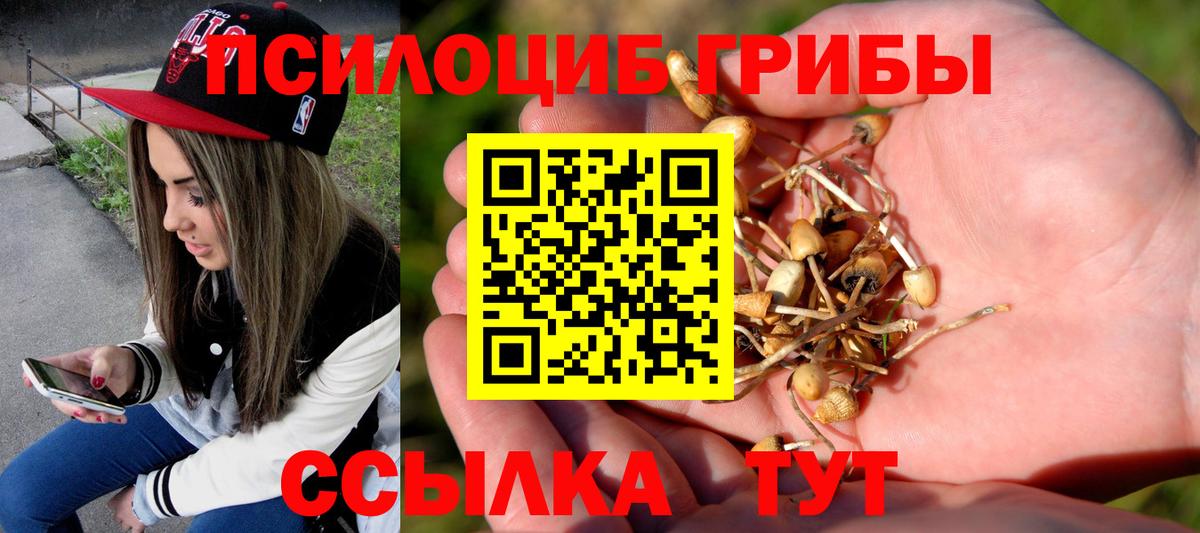 Галлюциногенные грибы мицелий Людиново