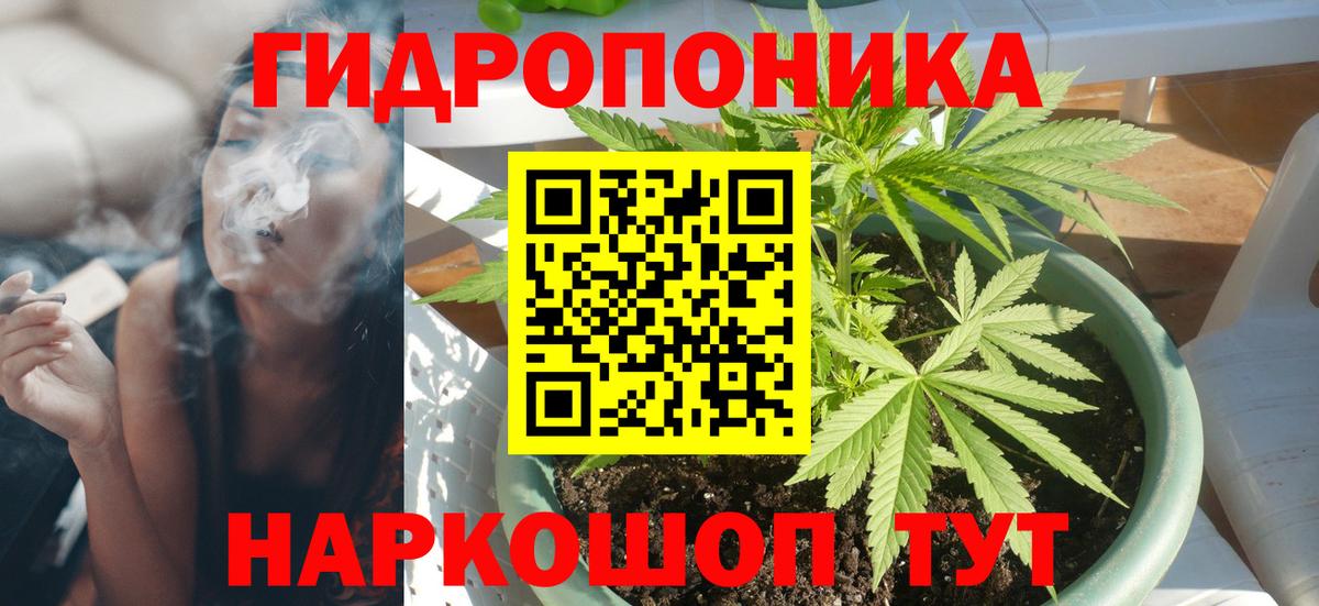 Каннабис планчик  Вход с VPN  Каннабис ГИДРОПОН  Людиново 